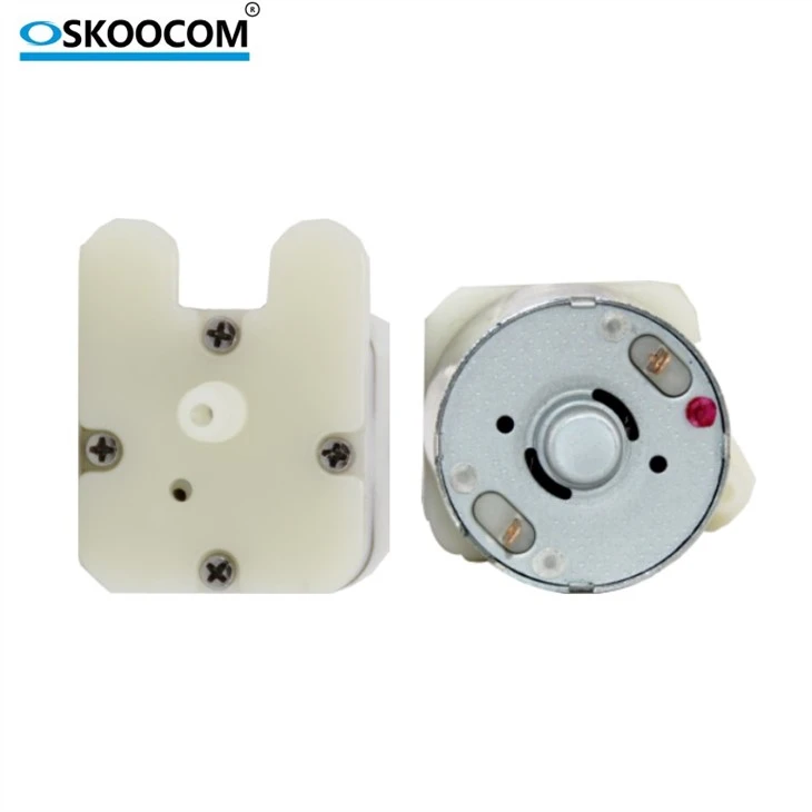 Small Air Pump Custom Voltage Mute Beauty Instrument